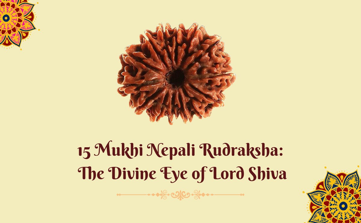 15 mukhi nepali rudraksha the divine eye of lord shiva