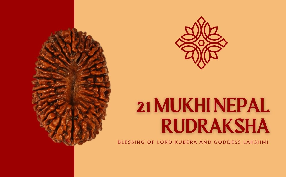 21 mukhi nepali rudraksha