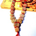 Sarva Siddhi 1 to 14 Mukhi Rudraksha Mala