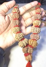 Sarva Siddhi 1 to 14 Mukhi Rudraksha Mala - view 2