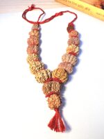 Sarva Siddhi 1 to 14 Mukhi Rudraksha Mala - view 3
