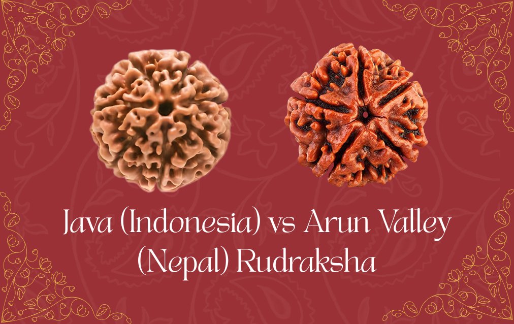 Java (Indonesia) vs Arun Valley (Nepal) Rudraksha