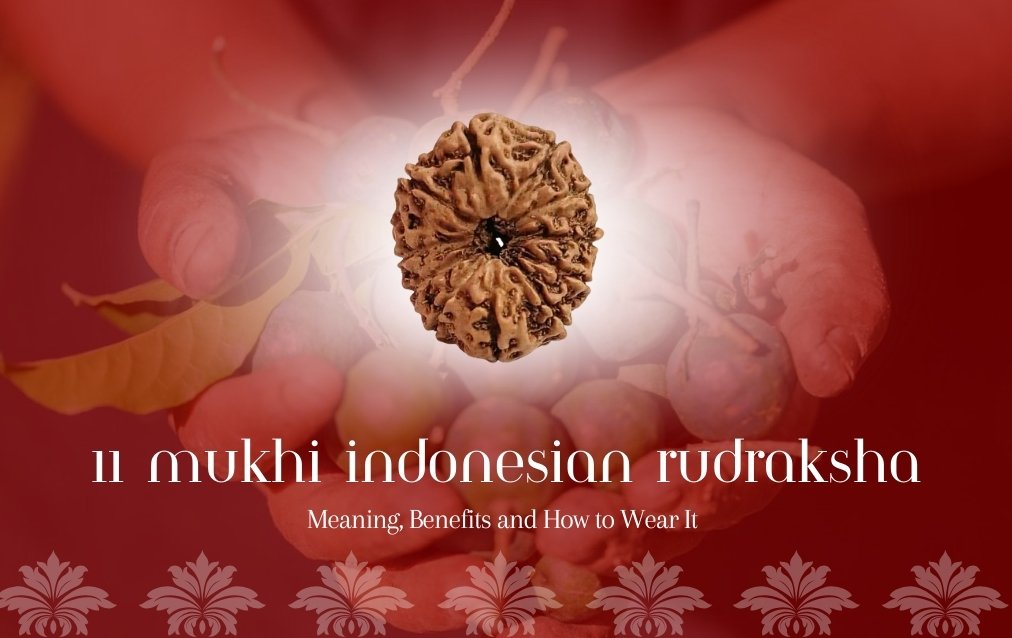 11 Mukhi Indonesian Rudraksha
