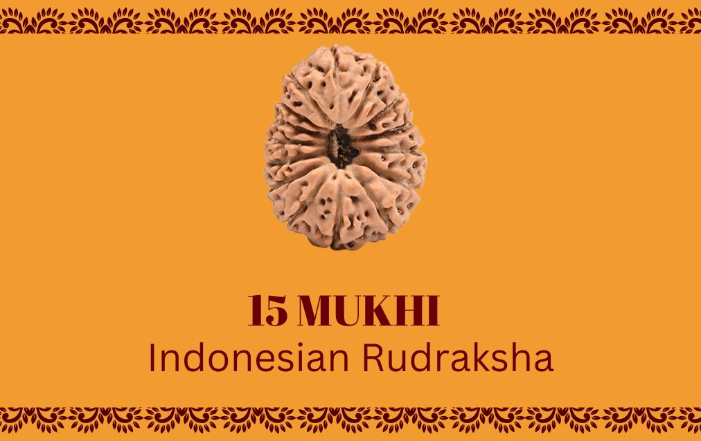 15 Mukhi Indonesian Rudraksha
