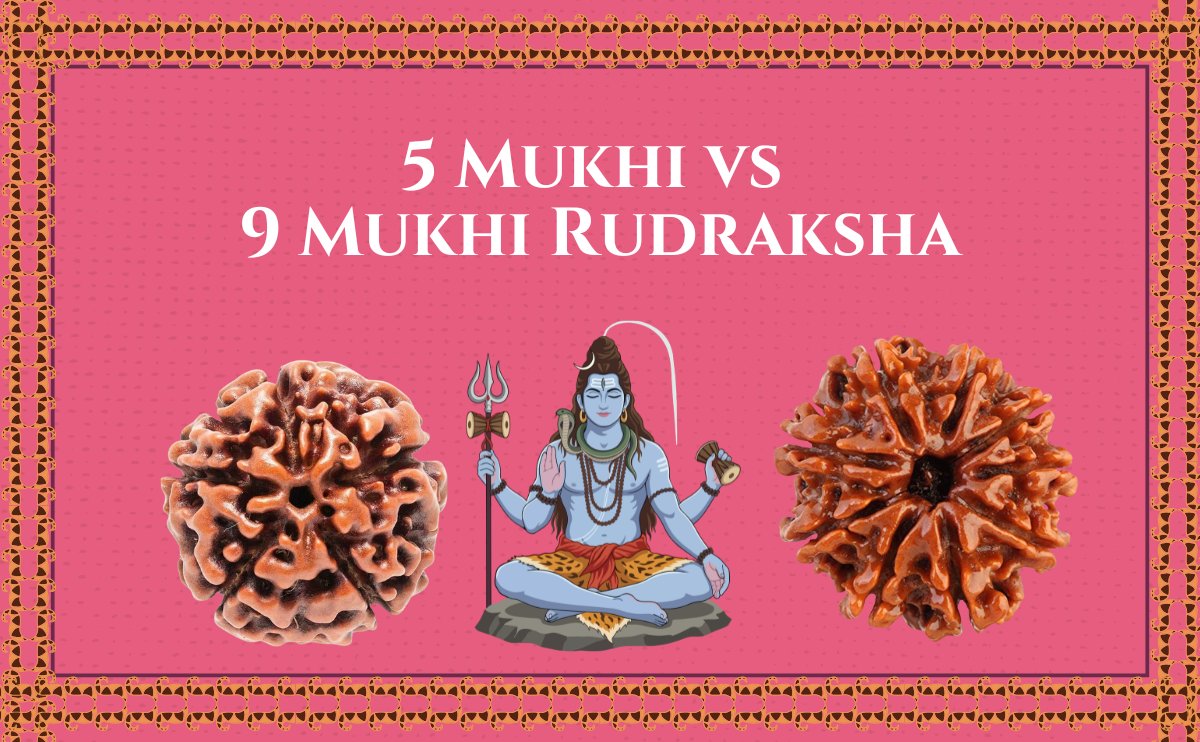 5 Mukhi Rudraksha vs 9 Mukhi Rudraksha