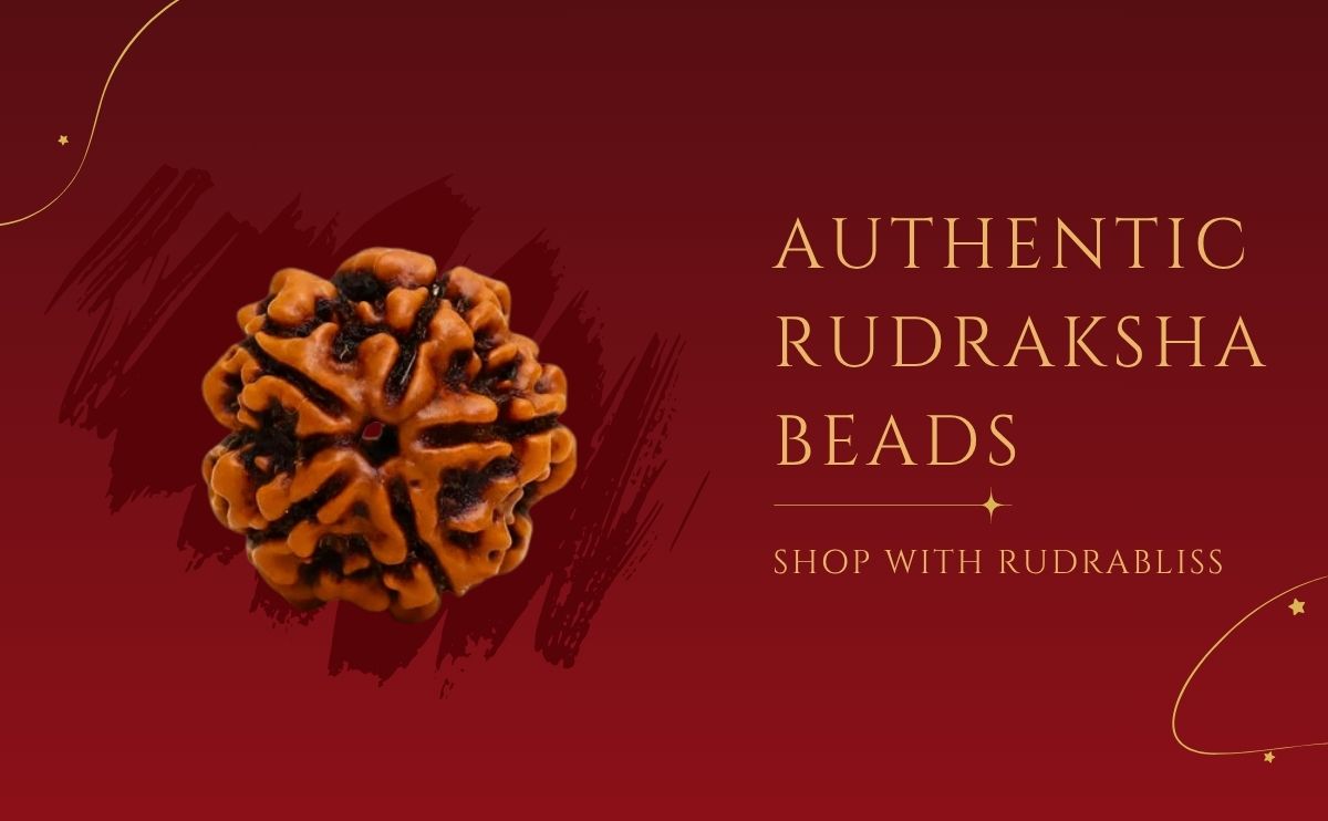 Authentic Rudraksha Beads