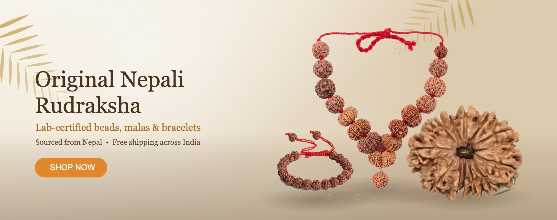 Original Nepali Rudraksha beads, malas and bracelets