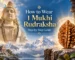 How to wear 1 mukhi rudraksha guide